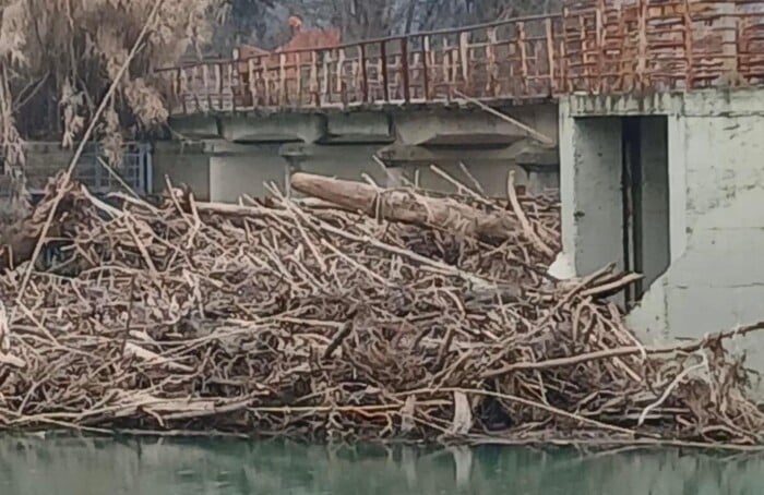 WhatsApp Image 2026 01 24 At 03.00.52