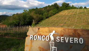 Brands 4664 Ronco Severo 1193 