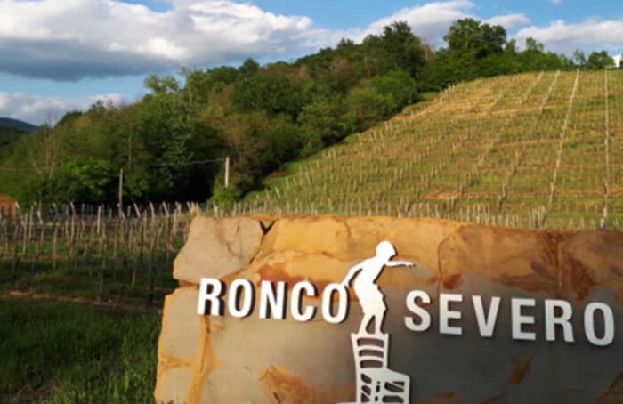 Brands 4664 Ronco Severo 1193