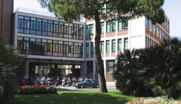 Novello Copia 