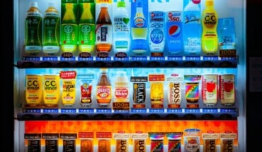 Pexels Gije 11506450 