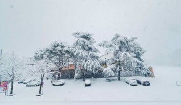 Solarolo Angelica Angy 