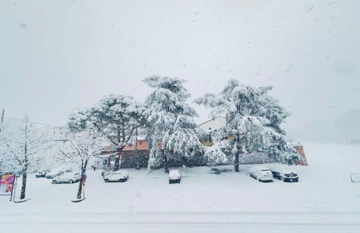 Solarolo Angelica Angy