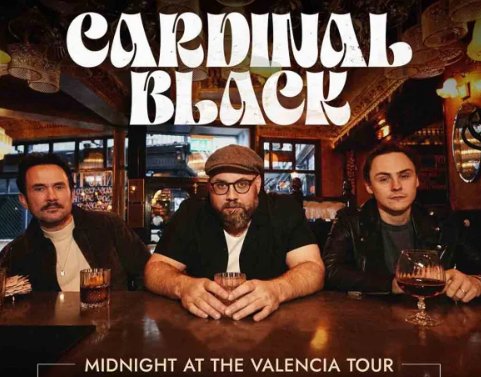 Screenshot 2026 02 17 102156