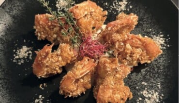 Screenshot 2026 02 20 Alle 13.58.02