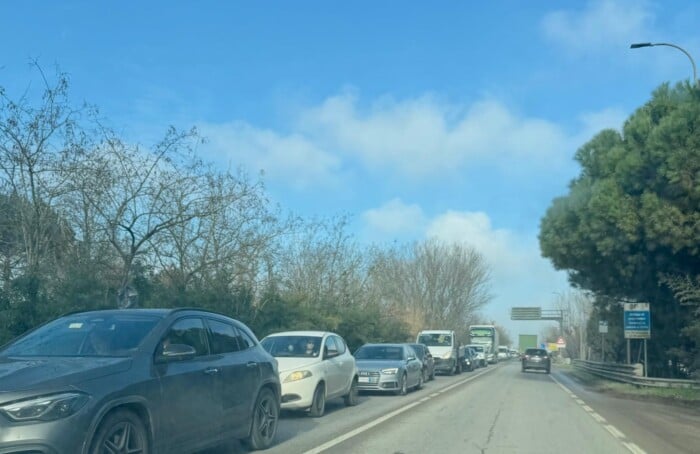 WhatsApp Image 2026 02 10 At 10.40.55