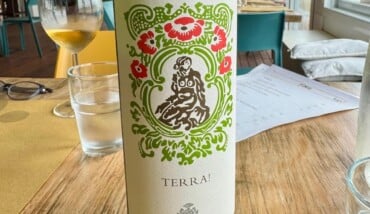 WhatsApp Image 2026 02 13 At 15.53.55 