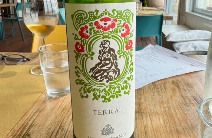 WhatsApp Image 2026 02 13 At 15.53.55