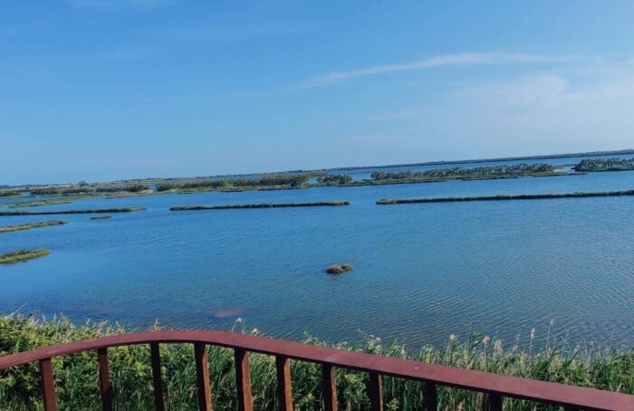 Pialassa Baiona
