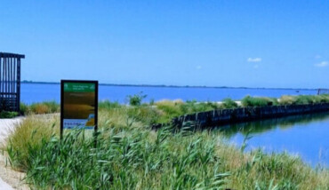 651808822 1361707122665680 179909647137667102 N 