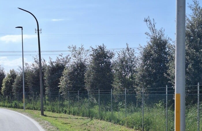 Schermata 2026 03 19 Alle 16.03.10