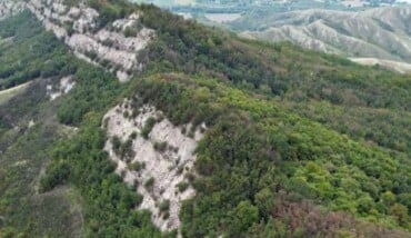 Screenshot 2026 03 06 113454