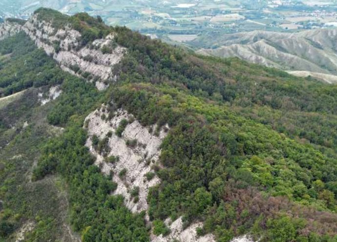 Screenshot 2026 03 06 113454