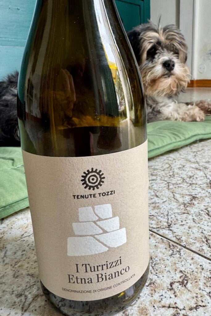 WhatsApp Image 2026 03 22 At 13.50.56