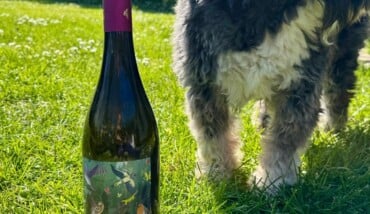 WhatsApp Image 2026 03 29 At 10.34.08 (1) 