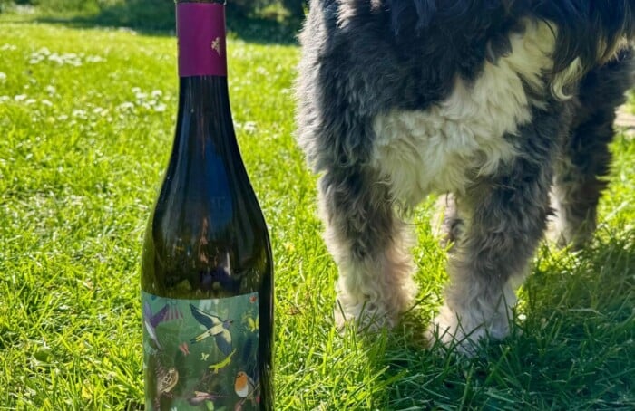 WhatsApp Image 2026 03 29 At 10.34.08 (1)