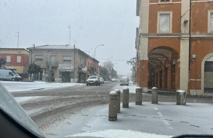 Alfonsine Neve