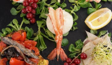 Armonia Del Gusto 1 Cover