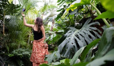 Big Ticket Image 66602f06e4955806491403 Cropped600 400 (1) 