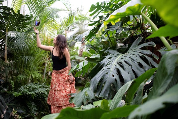 Big Ticket Image 66602f06e4955806491403 Cropped600 400 (1)