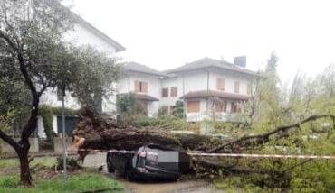 Foto Rita Cipolla Faenza 