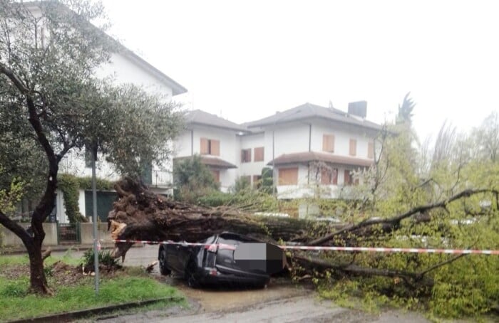 Foto Rita Cipolla Faenza