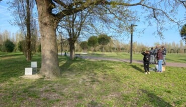 Gabbia Scoiattolo Baronio 