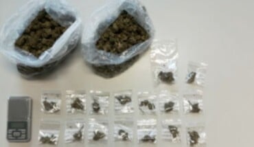 Marijuana Foto Repertorio 