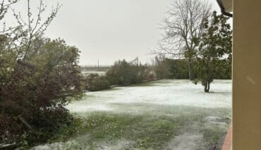 Neve Alfonsine 