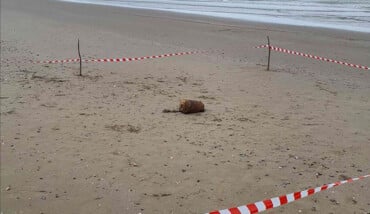 Ordigno Bellico Lido Adriano 