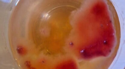 Lo strano caso dell’ostia “insanguinata” di Savarna 