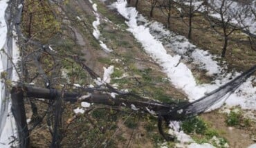 Reti Crollate Faenza 