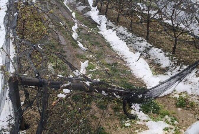 Reti Crollate Faenza