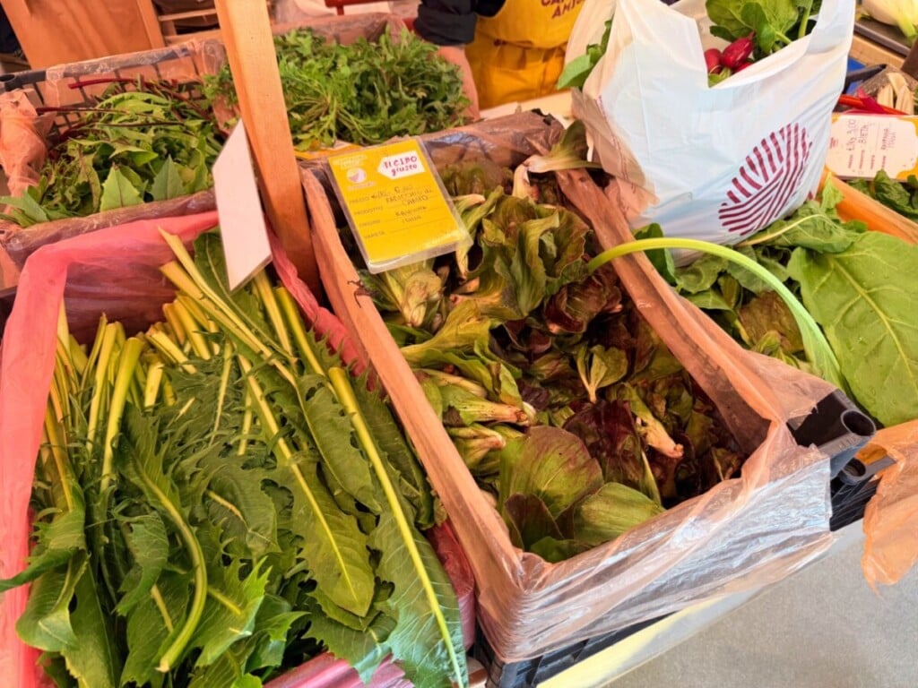 COLDIRETTI IMG 3926 Grande