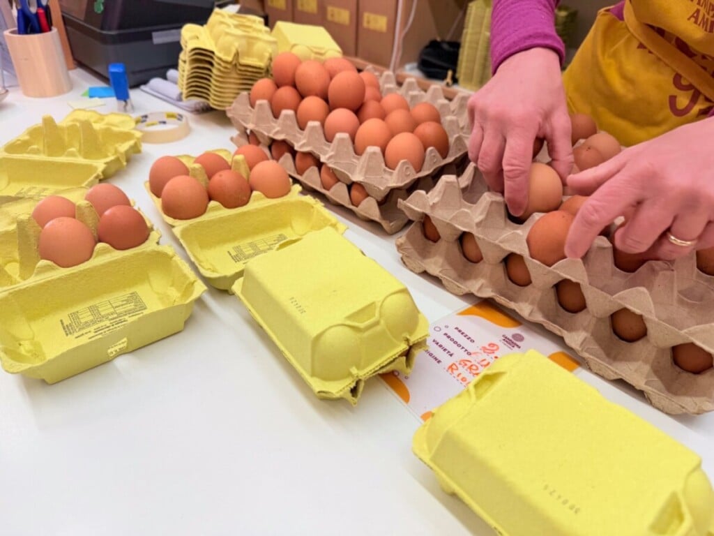 COLDIRETTI IMG 3935 Grande