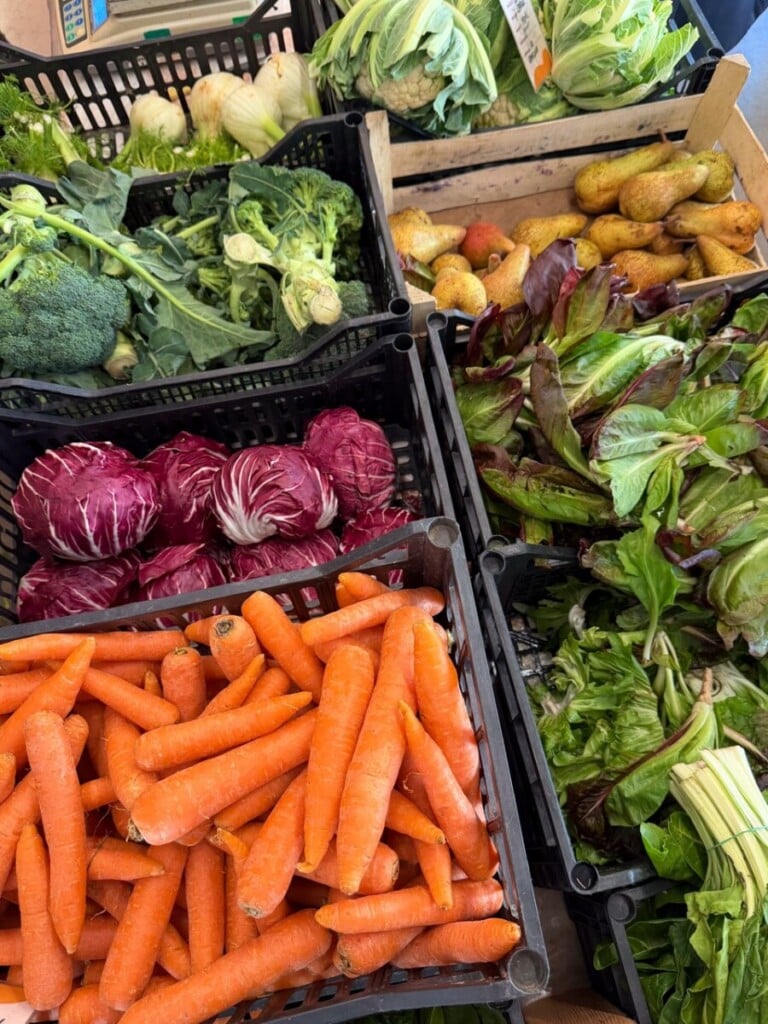 COLDIRETTI IMG 3972 Grande