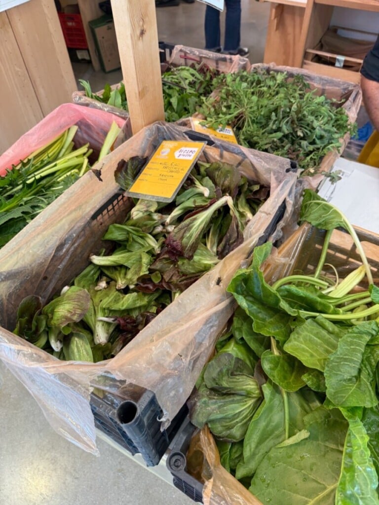 COLDIRETTI IMG 4758 Grande