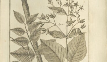 Schermata 2026 04 09 Alle 12.39.12 