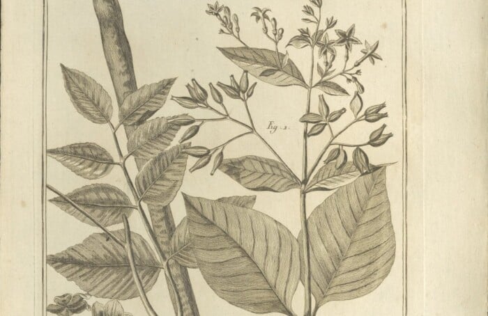 Schermata 2026 04 09 Alle 12.39.12