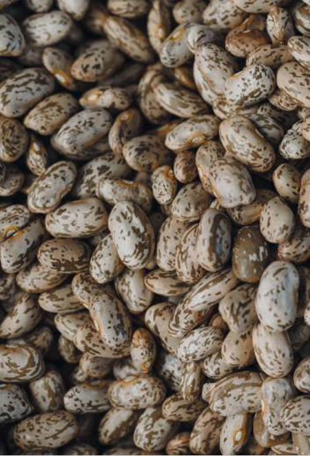 Screenshot 2026 04 19 Alle 10.14.20