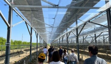 WhatsApp Image 2026 04 17 At 17.11.49 (3) 