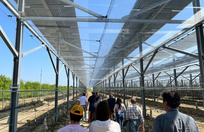 WhatsApp Image 2026 04 17 At 17.11.49 (3)