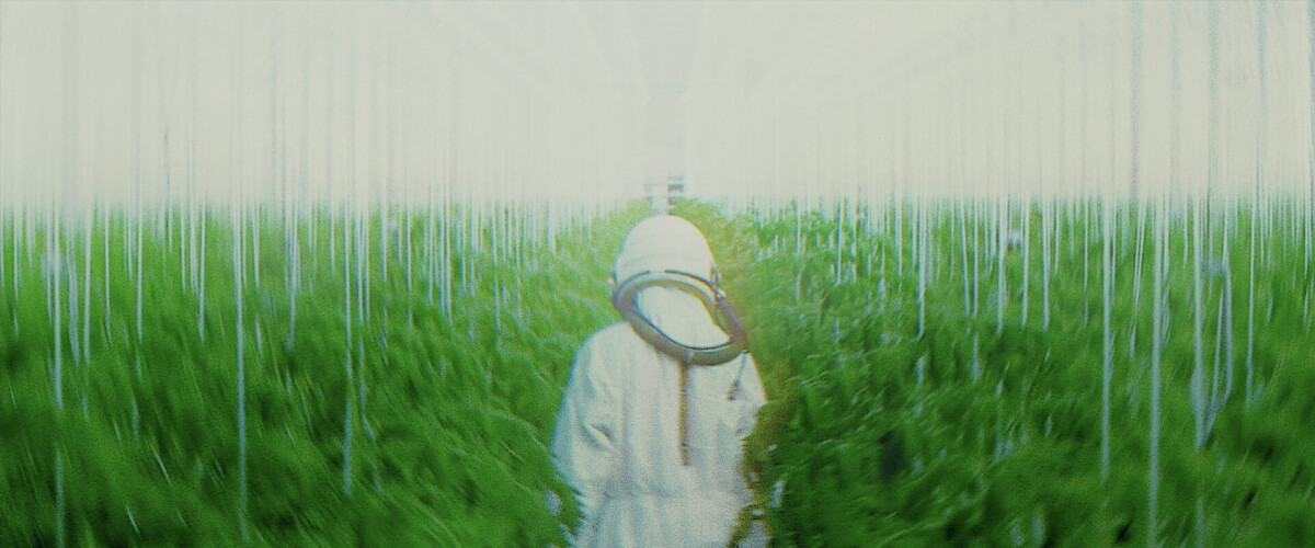 Arca