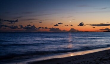 Bru No Beach 4481919 1920 