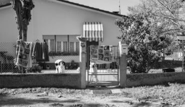 In guardia