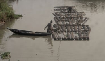 Foto 1 (1) 