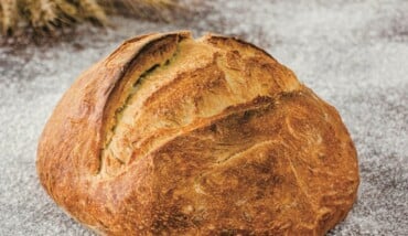 Pane