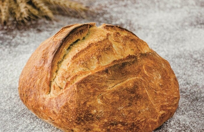 Pane