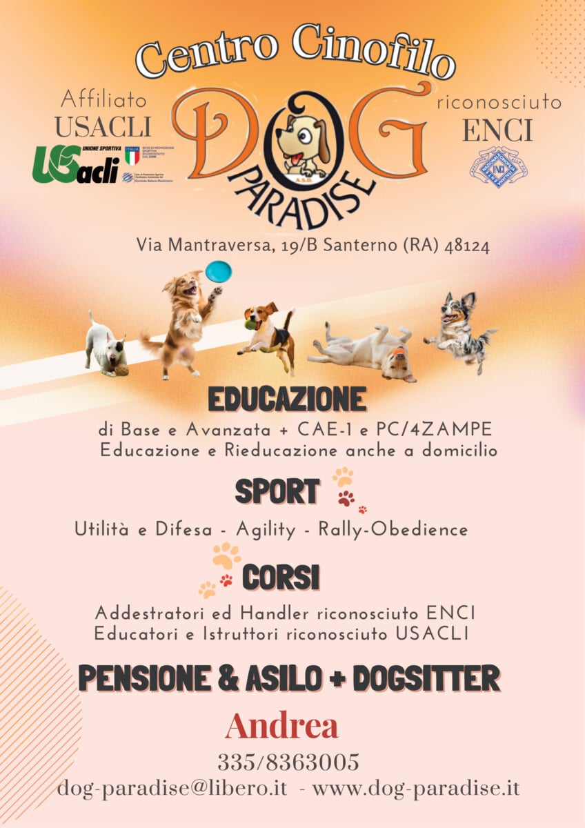DOG PARADISE VOLANTINO NUOVO