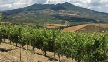 Image Aglianico Del Vulture Vino Lucano Scaled